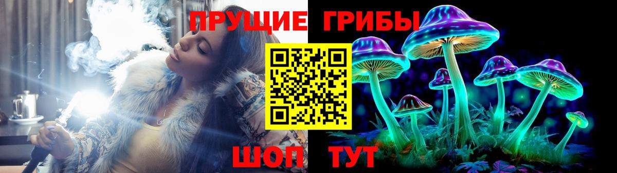 Псилоцибиновые грибы прущие грибы Михайловск